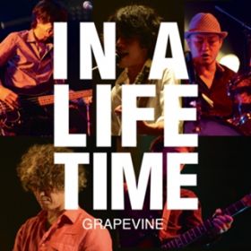 Ao - Lifetime (Live at SHIBUYA AX 2014D05D19) / GRAPEVINE