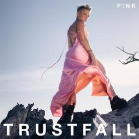 Our Song / P!NK