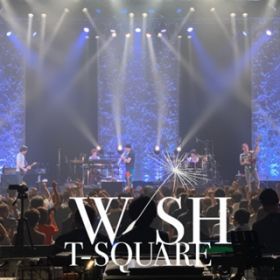 Trial Road (Live) / T-SQUARE
