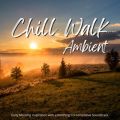 Ao - Chill Walk Ambient - lȂ璮Sn̉y / Relax  Wave
