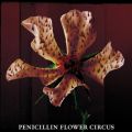 Ao - FLOWER CIRCUS / PENICILLIN