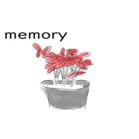 memory / Megpoid