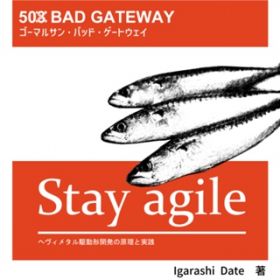 Ao - Stay agile / 503 bad gateway