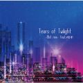 Tears of Twilight(8bit mix)