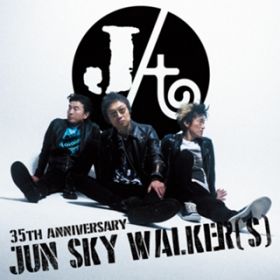 Ao - ΂ɂ邩 / JUN SKY WALKER(S)