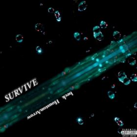 SURVIVE (feat. Houston Arrow) / beck