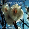 Ao - PIANO SONGS WINTER / x~t
