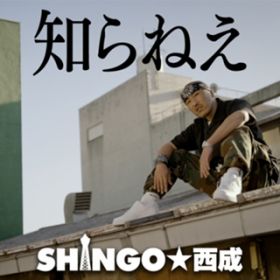 m˂ / SHINGO
