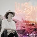 Ao - WhyB`l͂܂lDɂȂ` (-Short tracks-) / nW