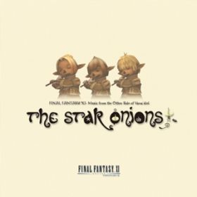 Ao - THE STAR ONIONS FINAL FANTASY XI -Music from The Other Side of Vana'diel- / THE STAR ONIONS