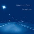 Ao - Wind Loop Case 1 / T