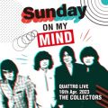 Ao - THE COLLECTORS QUATTRO MONTHLY LIVE 2023 "j҂!SUNDAY ON MY MIND" 2023D4D16 / THE COLLECTORS
