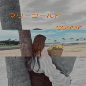 }[S[h (Cover) / TIFFANY