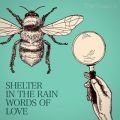 SHELTER IN THE RAIN ^ WORDS OF LOVE