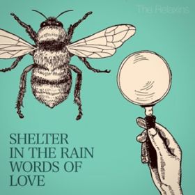 SHELTER IN THE RAIN / The Relaxins