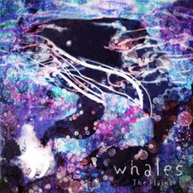アルバム - whales / プレーンズ