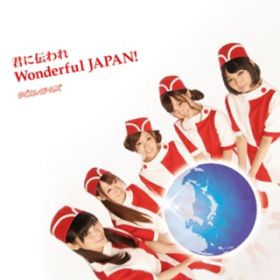 Nɓ` Wonderful JAPANI / ^rJK[Y
