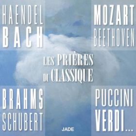 Requiem OpD9: In Paradisium / Orchestre De L'Association Des Concerts Lamoureux