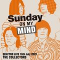 Ao - THE COLLECTORS QUATTRO MONTHLY LIVE 2023 "j҂!SUNDAY ON MY MIND" 2023D7D16 / THE COLLECTORS