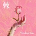 Thinking Dogs̋/VO -  (Instrumental)