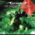 THE IRONHEARTED FLAG VolD1:REGENERATION SIDE