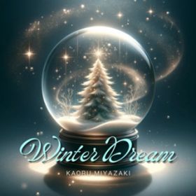 Winter Dream / {?O
