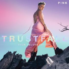 Our Song / P!NK