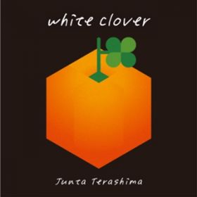 white clover / Ց