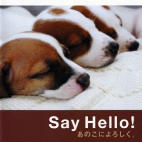 Ao - Say Hello! ̂ɂ낵B (IWiETEhgbN) / 悤q