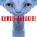 ATOLS̋/VO - KAWAII HARAKIRI (feat. ~N)
