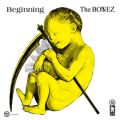 Ao - Beginning / The BONEZ