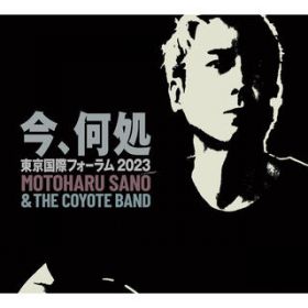 Gf̊C (LIVE) / 쌳t/THE COYOTE BAND