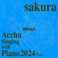 Ao - sakura (Acchu Singing with Piano 2024) / jMX
