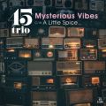 Ao - Mysterious Vibes ^ A Little Spice / 45trio