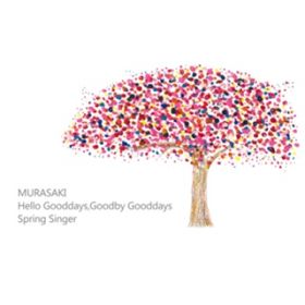Spring Singer / MURASAKI
