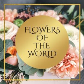 FLOWERS OF THE WORLD / YUU