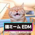 L~[EDM `SNSŘb̐lCEDM BEST` (DJ MIX)