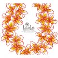 Ao - An}CEAnm`Hawaiian Love Song` / LauLa