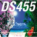 Ao - SUMMER PARADISE`Risinf To Tha Sun`featDRe} (US),Iz) / DS455