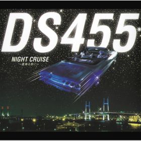 NIGHT CRUISE `~Ɂ` / DS455
