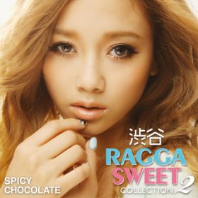 Ao - aJ RAGGA SWEET COLLECTION 2 / SPICY CHOCOLATE