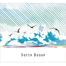 {N̂(mixi mix) / Sotte Bosse