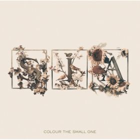 Ao - Colour The Small One / V[A