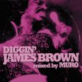 Ao - DIGGINf JAMES BROWN mixed by MURO / WF[XEuE