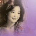 eTEe̋/VO - Ye Lai Xiang (Live In Japan / 1985)