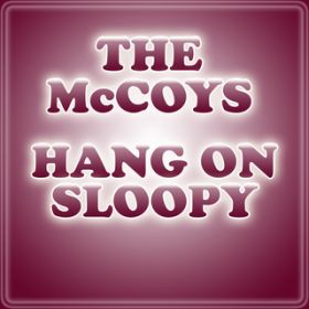 Hang On Sloopy / }bRCY