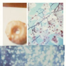 Donut / ̂鍑