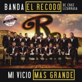 Ao - Mi Vicio Mas Grande / Banda El Recodo De Cruz Lizarraga