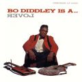 Bo Diddley Is A DDD Lover