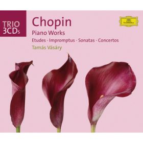 Chopin: 12 Etudes, OpD 25 - NoD 6 in G sharp minor / ^}[VE@[V